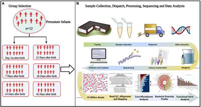 Dynamic changes of the gut microbial colonization in preterm infants with different time points after birth